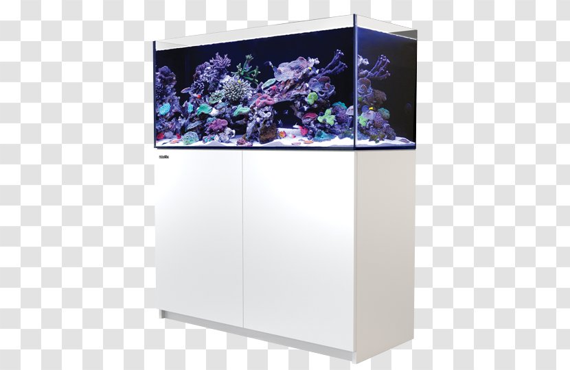 Red Sea Aquariums Reef Aquarium - Fish Tank Transparent PNG