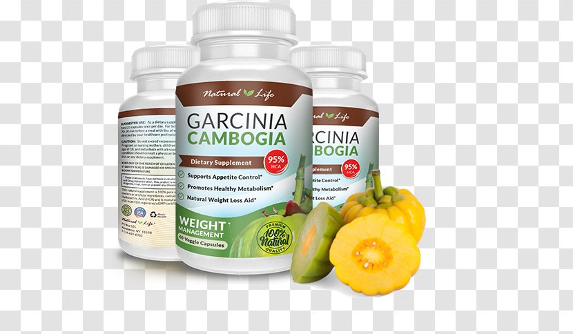 Dietary Supplement Garcinia Cambogia Weight Loss Anti-obesity Medication Transparent PNG