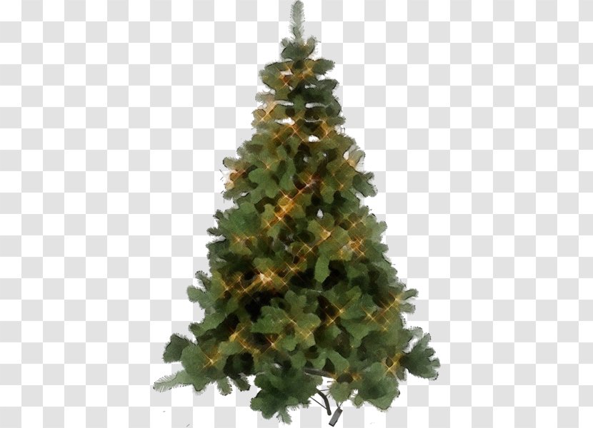 Christmas Tree - Shortleaf Black Spruce - Plant White Pine Transparent PNG