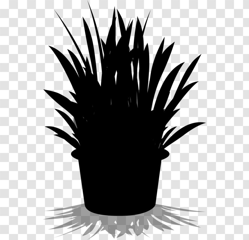 Palm Trees Silhouette Flower Leaf - Blackandwhite Transparent PNG