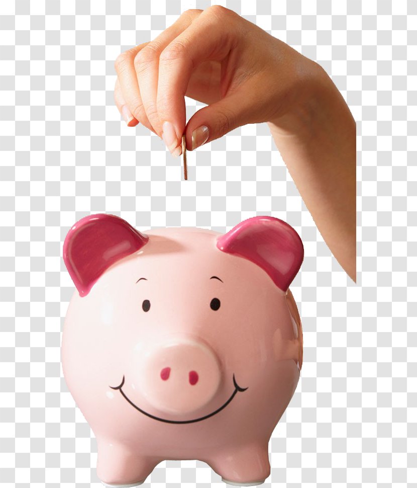 Piggy Bank Saving Money Coin Pension Transparent PNG