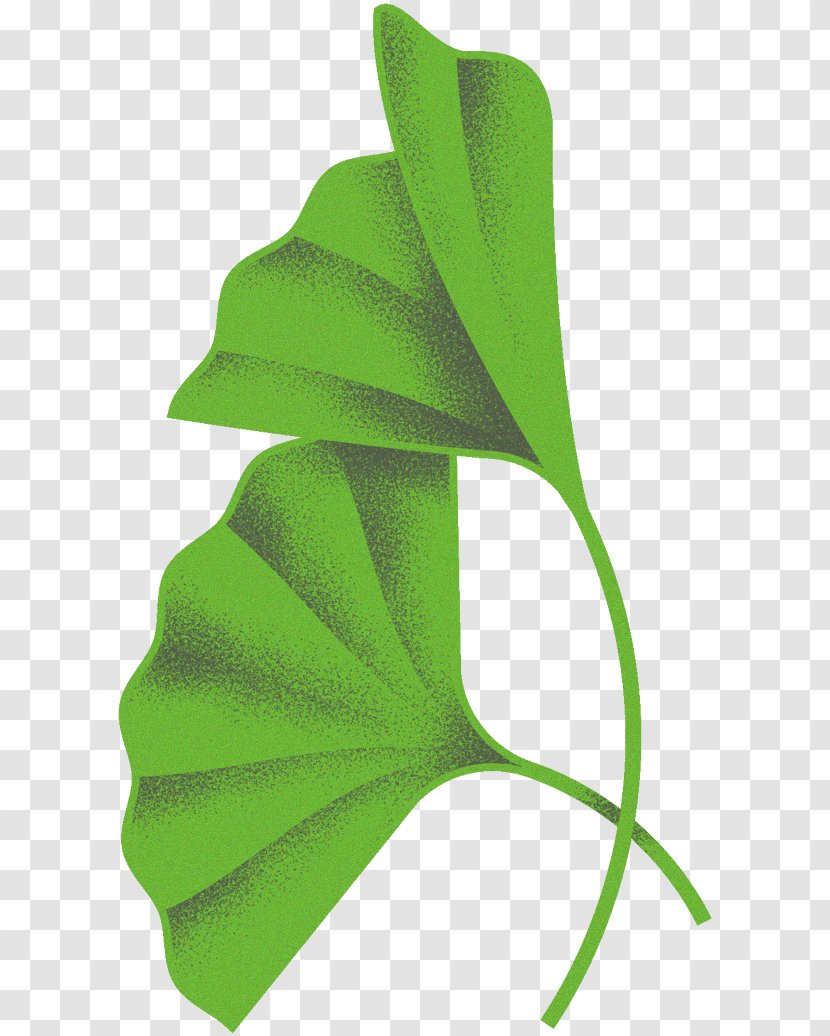 Leaf 2015 UCI Road World Championships Plant Stem Clip Art - Tattoo Transparent PNG