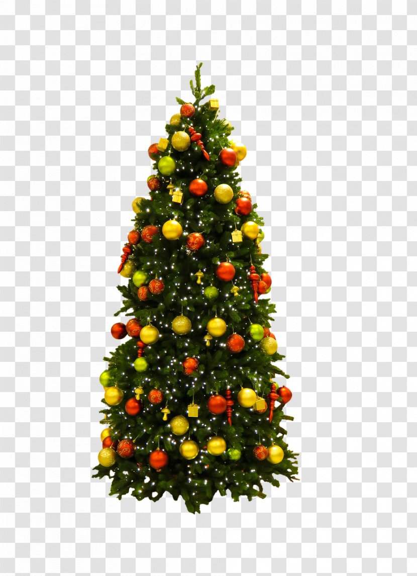 Santa Claus Christmas Tree Ornament - Fir - Fir-tree Transparent PNG