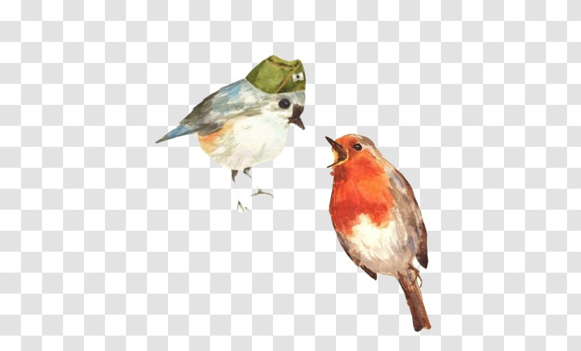 European Robin Bird Wet-into-Wet Watercolor Painting - FIG Collection Creative Image Transparent PNG
