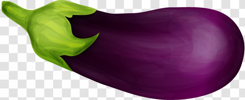Eggplant Purple Food Vegetable - Mulberry - Hand-painted Transparent PNG