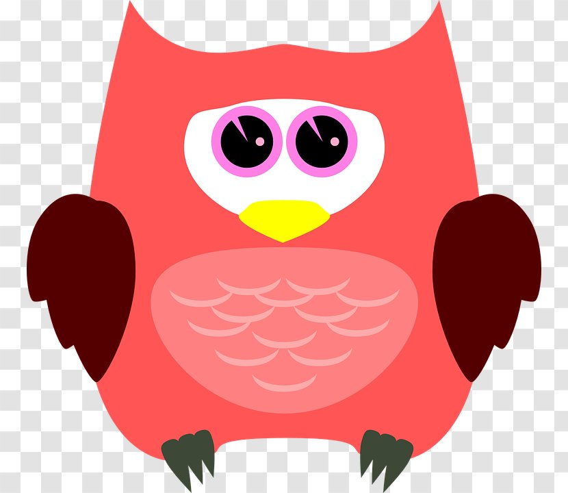 A Wise Old Owl Bird Clip Art Parrot - Beak Transparent PNG
