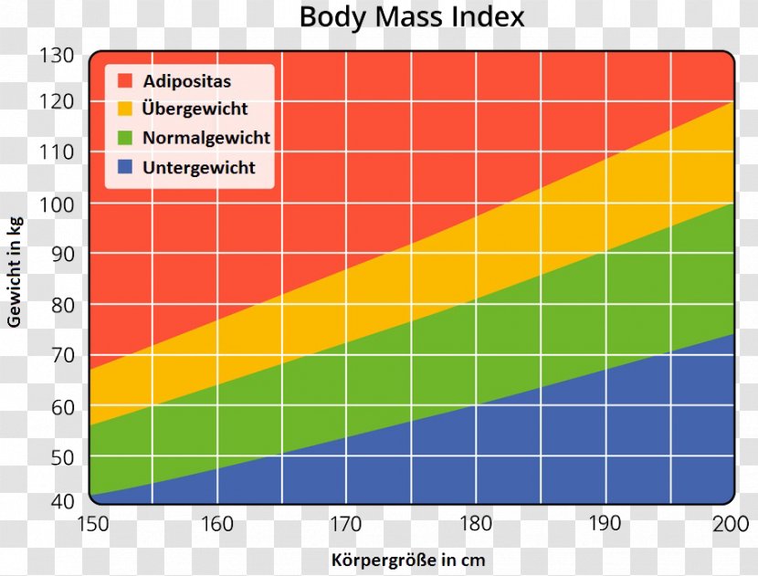 Body Mass Index Human Weight Loss Stock Photography - Growth Chart - BMI Transparent PNG