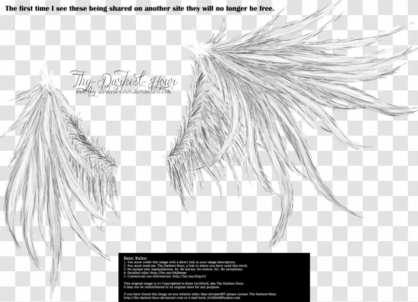 Airplane Drawing Art - Wing - Angel Wings Transparent PNG