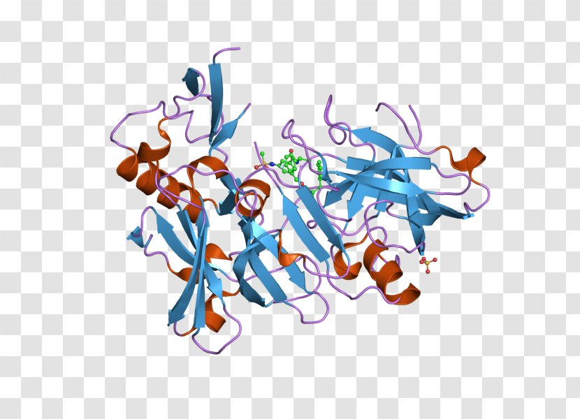 Beta-secretase 1 Amyloid Precursor Protein Secretase Beta Enzyme - Cartoon - Cathepsin Transparent PNG