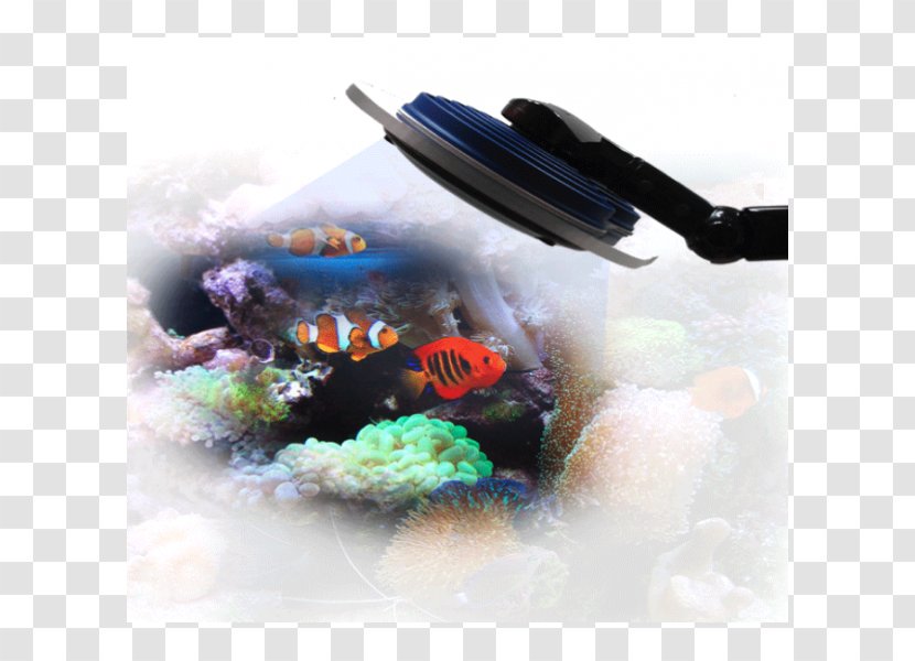 Aquarium Lighting Seawater Reef - Lightemitting Diode - Water Transparent PNG