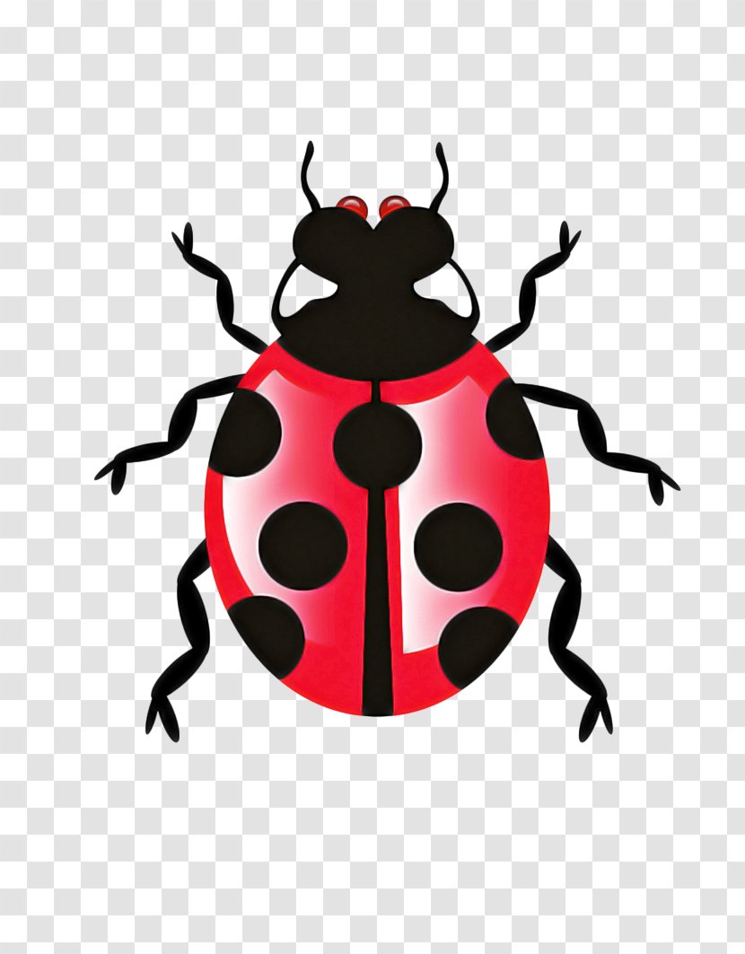 Ladybird - Beetle - Darkling Beetles Pest Transparent PNG