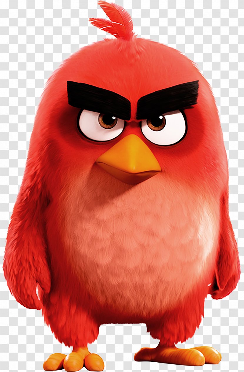 Angry Birds Epic 2 Go! Evolution - Movie Transparent PNG