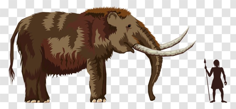 Pliocene Woolly Mammoth Mastodon Clip Art - Terrestrial Animal - Elephant Transparent PNG