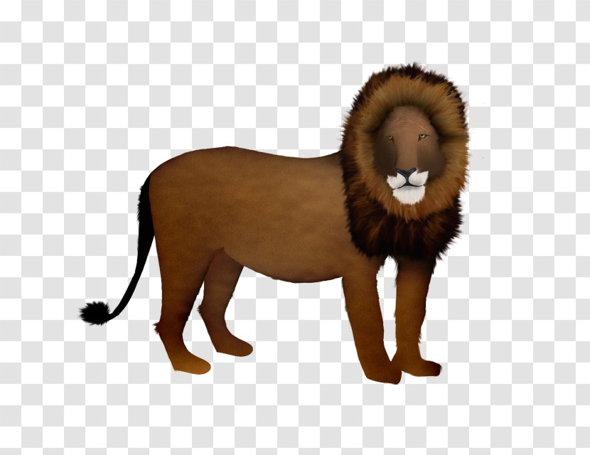 Big Cat Terrestrial Animal Fur Wildlife - Lion Transparent PNG