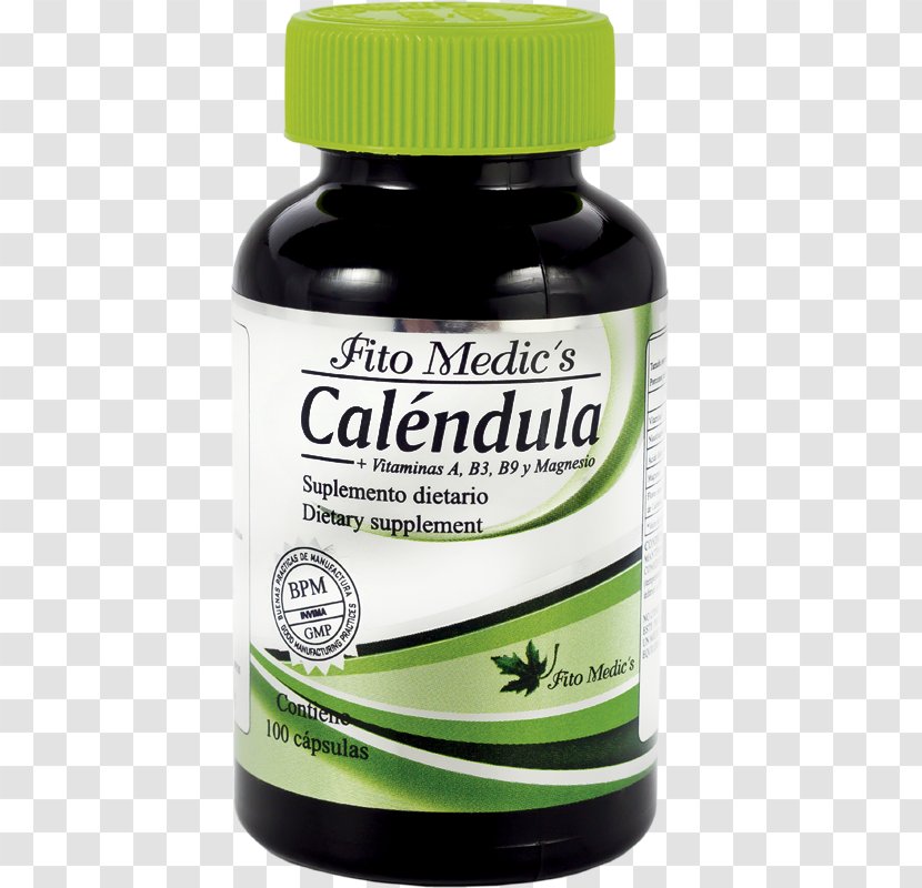 Dietary Supplement Capsule Cholesterol Homoeopathic Pharmacy Quanta Bile - Cucurbita Maxima Transparent PNG