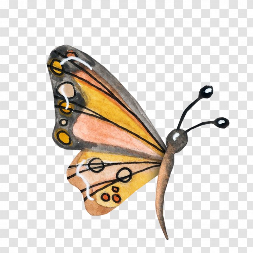 Monarch Butterfly Moth Nymphalidae Danaus - Arthropod Transparent PNG