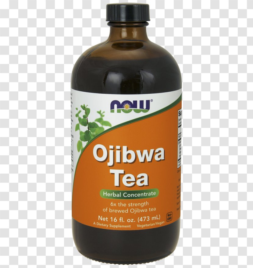 Green Tea Herbal Ojibwe Dietary Supplement - Extract Transparent PNG