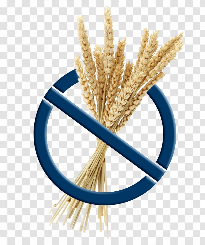 Wheat - Icon Design - Depositphotos Transparent PNG