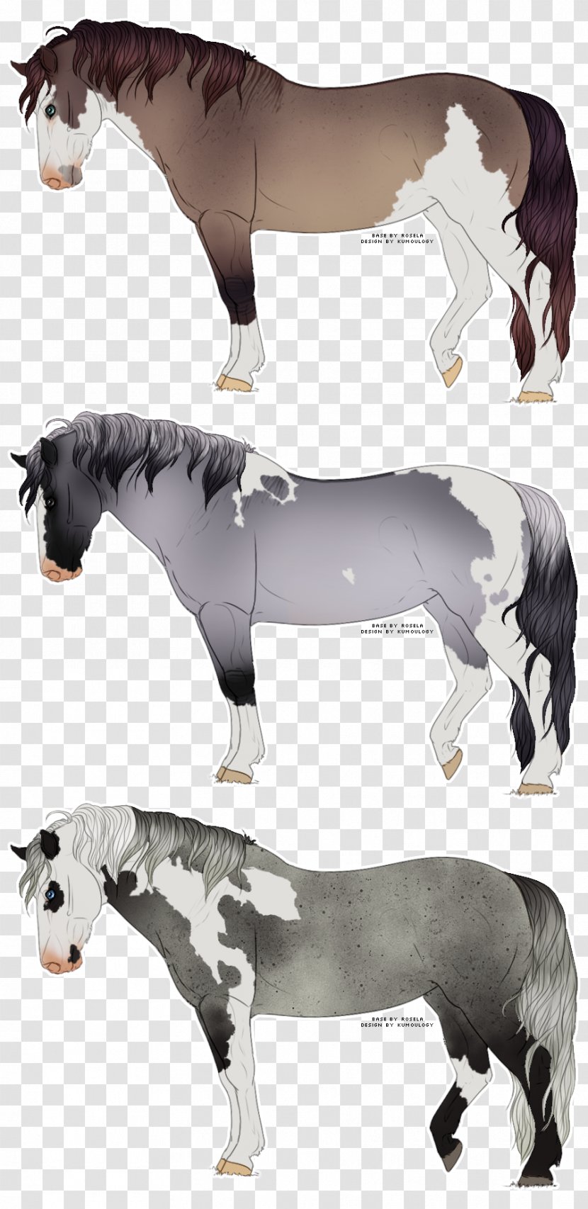 Mane Mustang Stallion Pony Donkey - Horse Transparent PNG