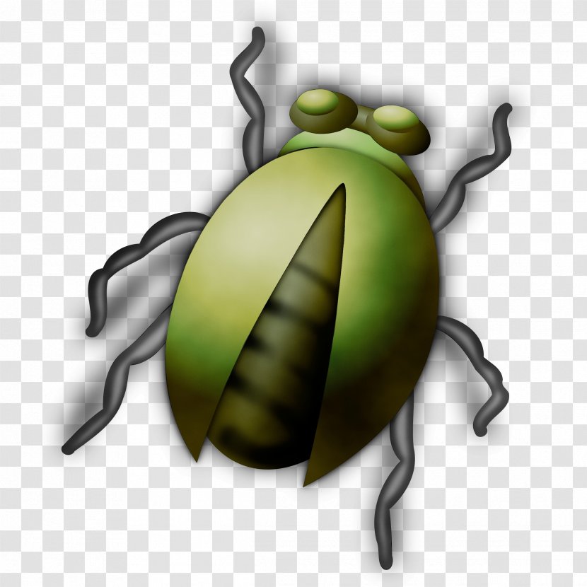 Insect Transparency Firefly Drawing - Pest Beetle Transparent PNG