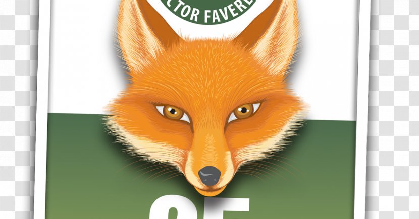 Red Fox Hunting Snout Nervousness - Kristof Transparent PNG