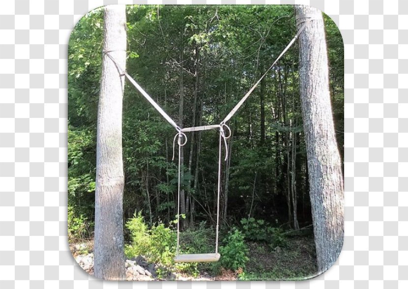Tree Swing Woodland Hammock - Garden - Wood Transparent PNG