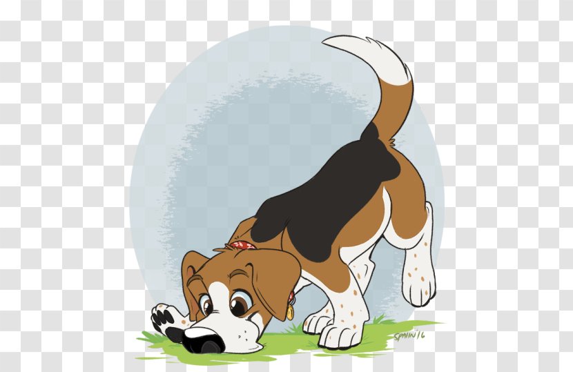Beagle Harrier Puppy Animal Canidae - Hound - Whiteboard Doodles Transparent PNG