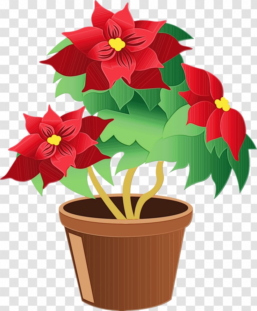 Flower Flowerpot Poinsettia Plant Clip Art - Anthurium Impatiens Transparent PNG
