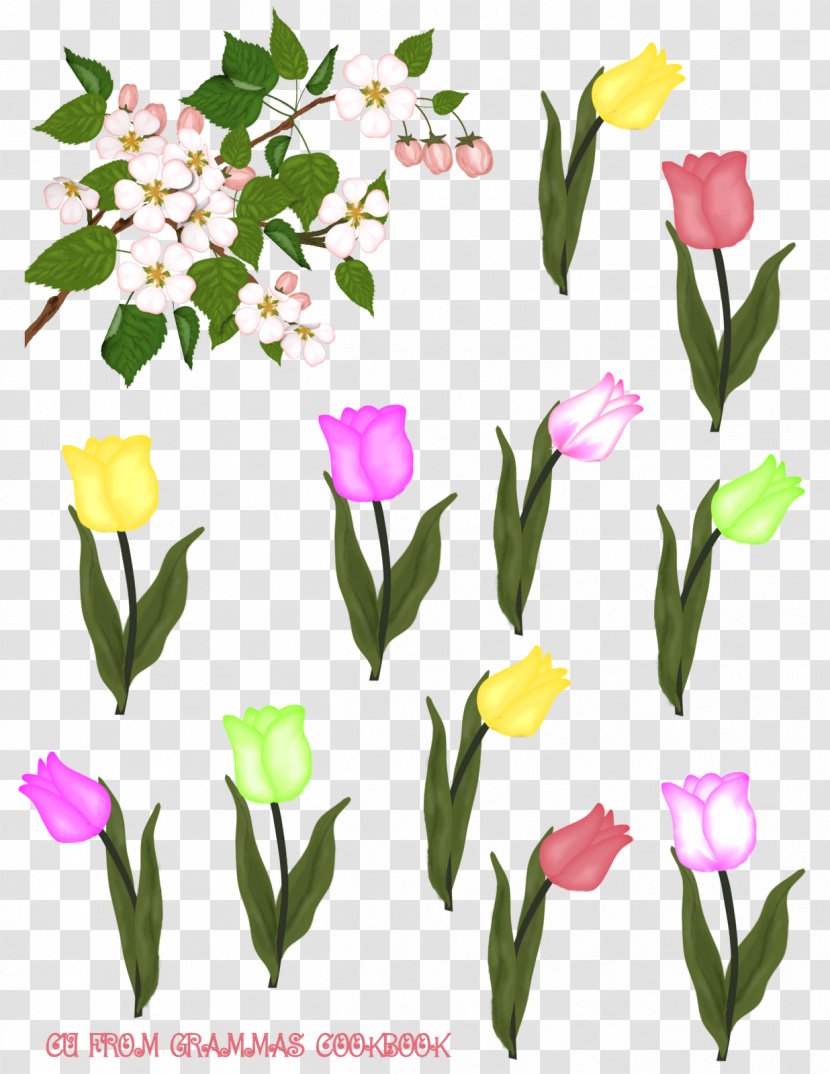 Flower - Floristry - Tulips Transparent PNG