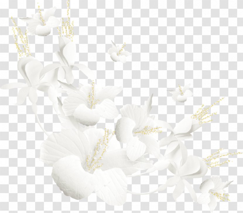 Cut Flowers Rose May Petal - Plant - Flower Transparent PNG