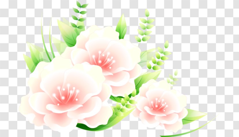 Flower Photography Clip Art - Plant Transparent PNG