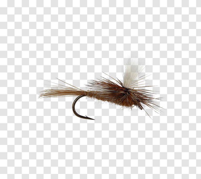 Artificial Fly Hare's Ear Fishing Insect - Dry Flies Transparent PNG