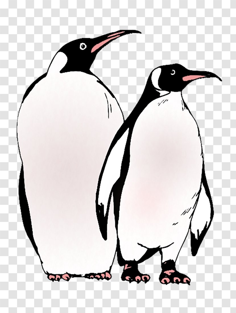 Mr. Popper's Penguins Tom Popper Coloring Book - Pinguins Transparent PNG