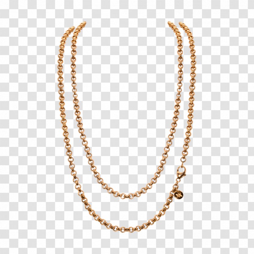 Jewellery Chain Pendant Necklace - Pic Transparent PNG