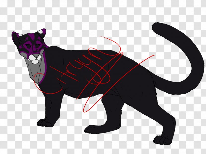 Whiskers Cat Cougar Dog Canidae Transparent PNG