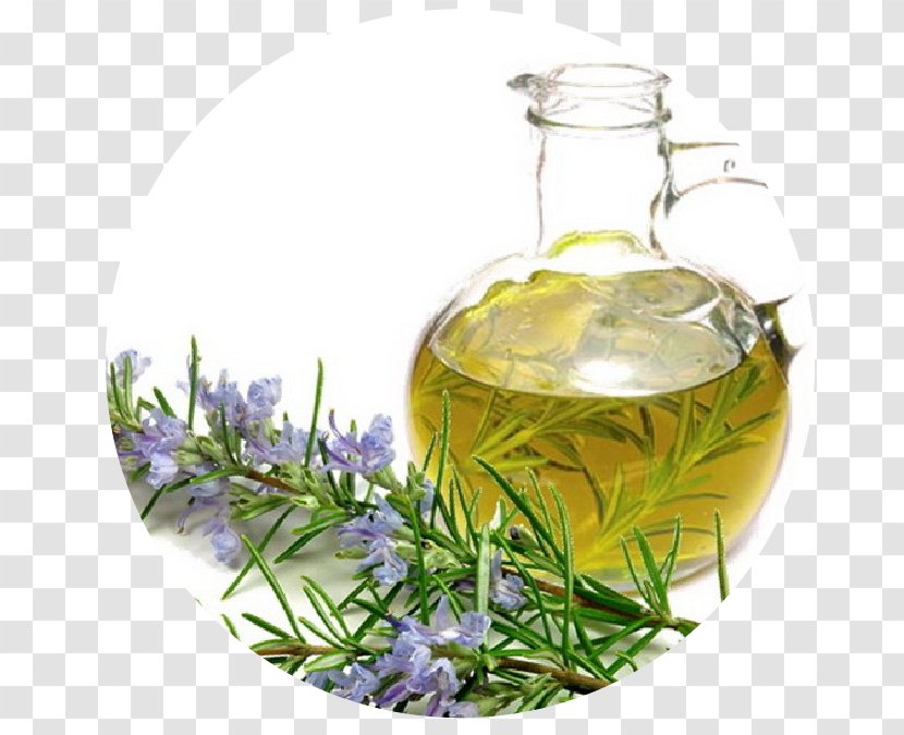 Rosemary Oil Essential Olive - Cooking Transparent PNG