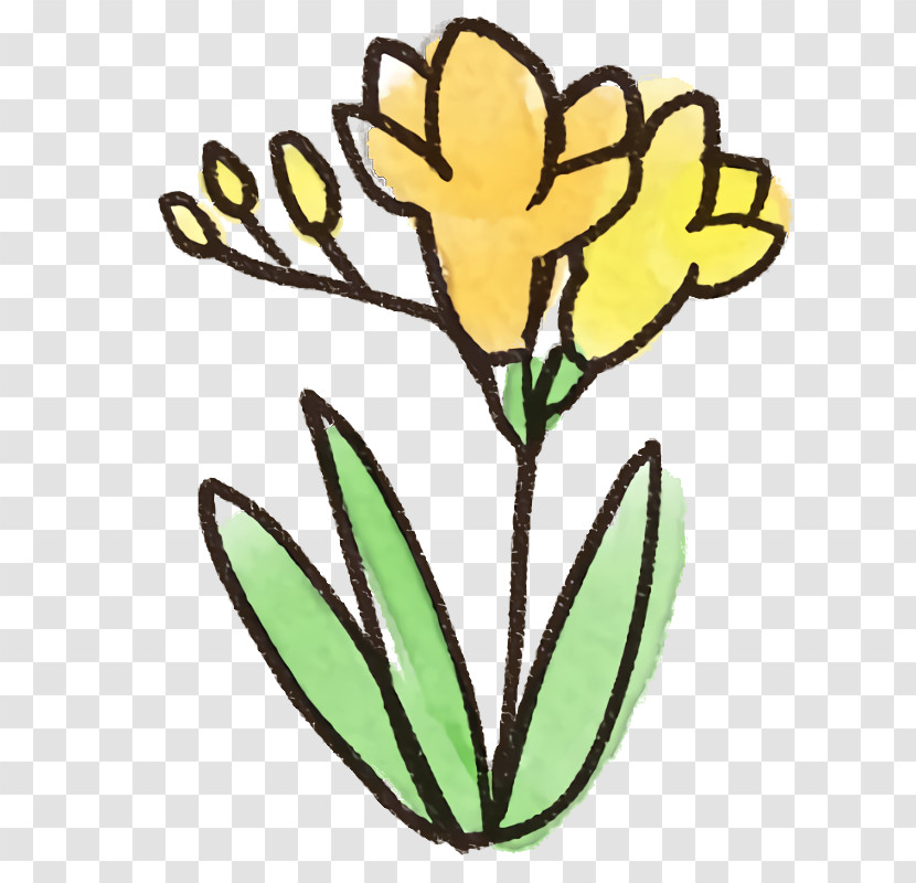 Flower Yellow Plant Pedicel Plant Stem Transparent PNG