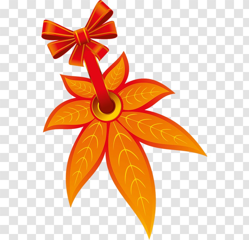 Maple Leaf Яндекс.Фотки Clip Art - Flowering Plant Transparent PNG