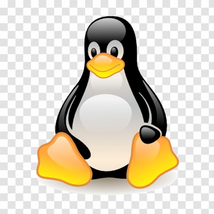 Linux Fedora Unix Operating Systems - Ubuntu Transparent PNG