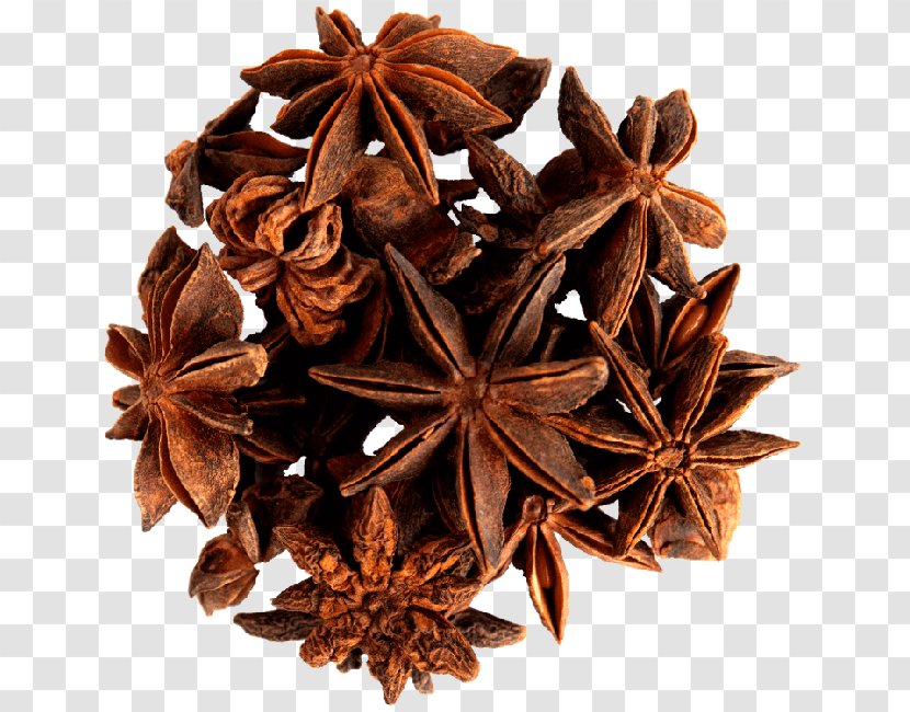 Spice Star Anise Cinnamomum Verum Herb - Hojicha Transparent PNG