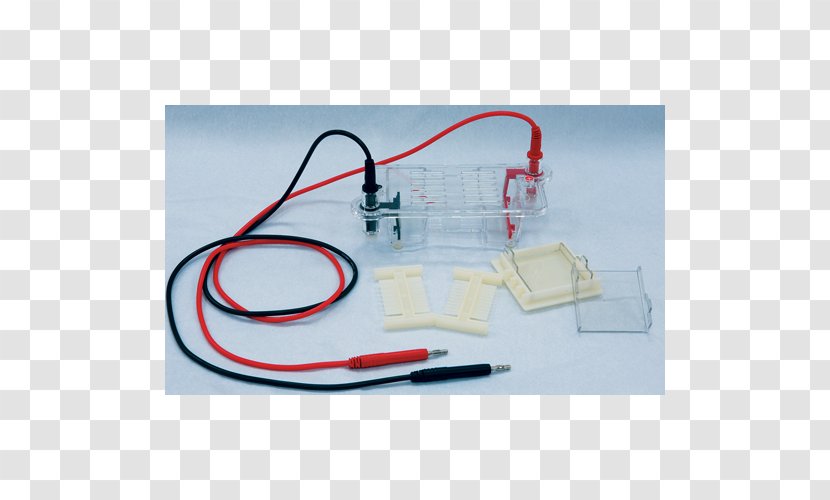 Agarose Gel Electrophoresis - Laboratory Transparent PNG