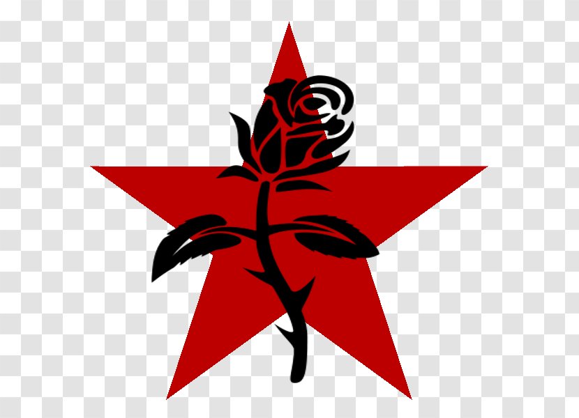 Anarchism Black Rose Symbol Anarchy Anarcho-syndicalism - Green - Communism Transparent PNG