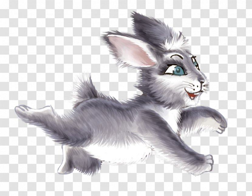 Whiskers Hare Cat Drawing Dog - Tail Transparent PNG