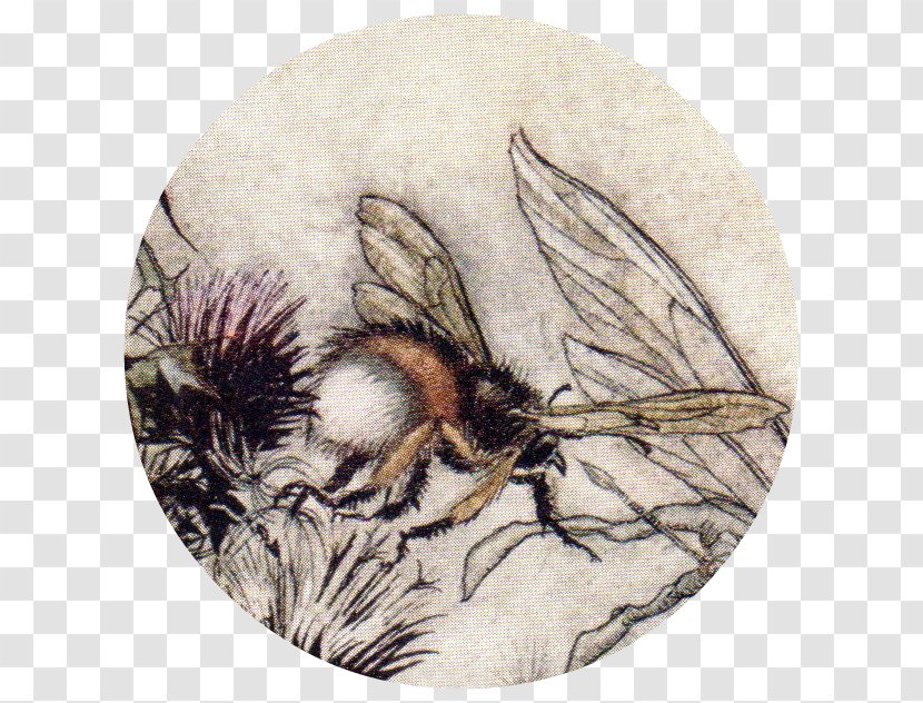 Honey Bee A Midsummer Night's Dream Titania Insect - Fairy Queen Transparent PNG