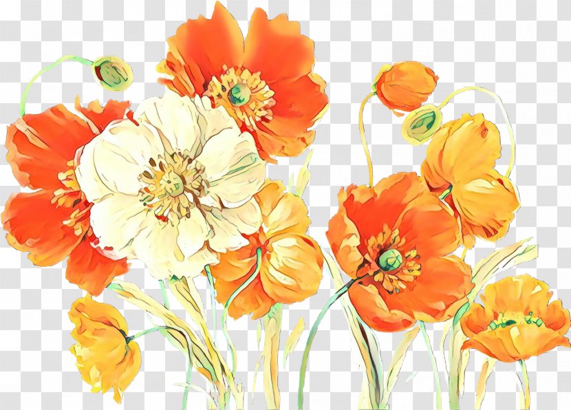 Orange - Watercolor Paint - Wildflower Transparent PNG