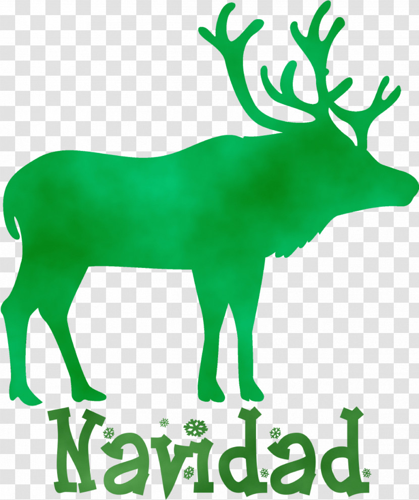 Reindeer Transparent PNG