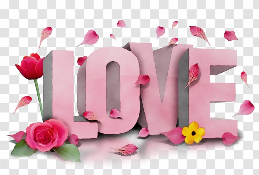 Pink Text Font Petal Plant - Flower Transparent PNG