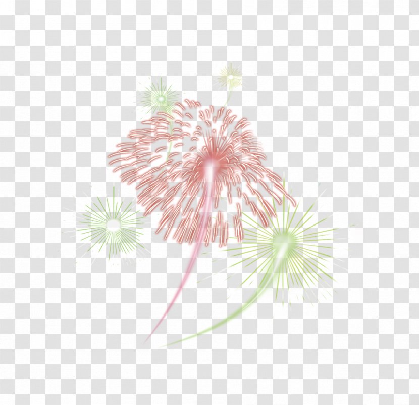 Fireworks Red - Flora - And Green Transparent PNG