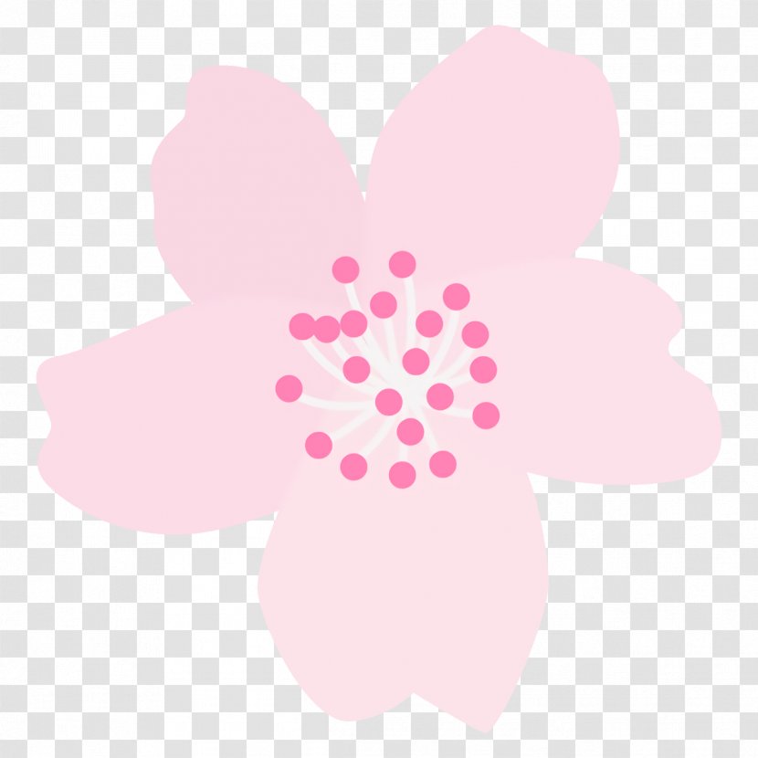 Pink Petal Pattern Flower Plant - Magenta Transparent PNG