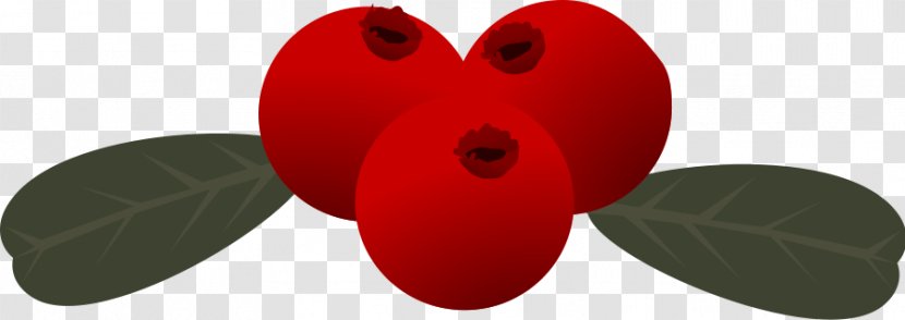 Lingonberry Clip Art - Berry Cliparts Transparent PNG